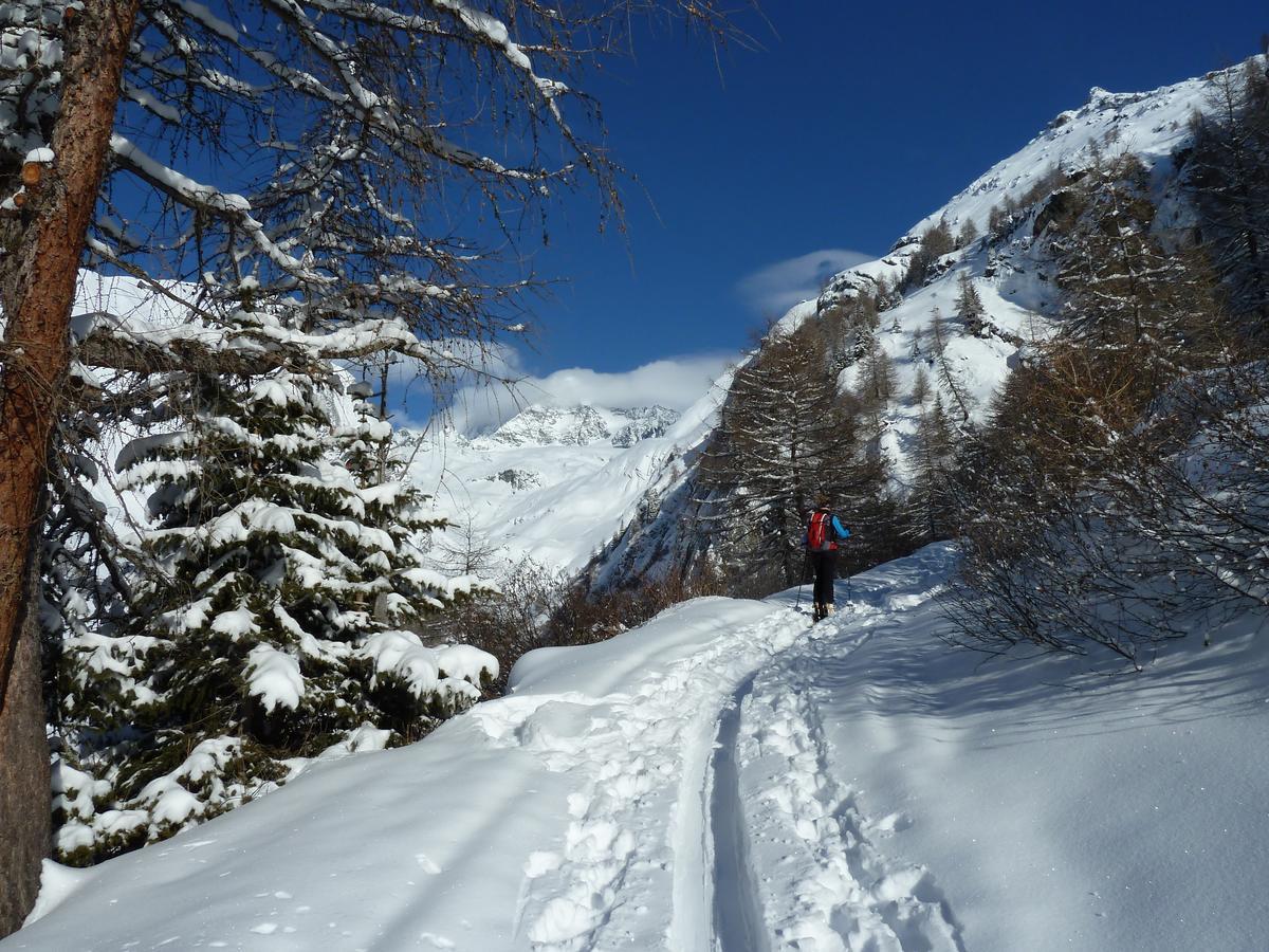 ホテルAlpengasthof Lucknerhaus Kals-am Großglockner エクステリア 写真