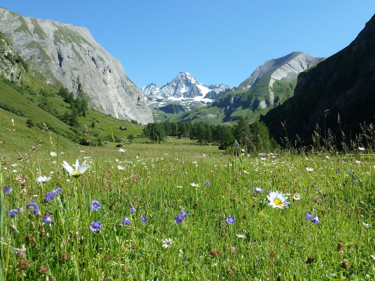 ホテルAlpengasthof Lucknerhaus Kals-am Großglockner エクステリア 写真